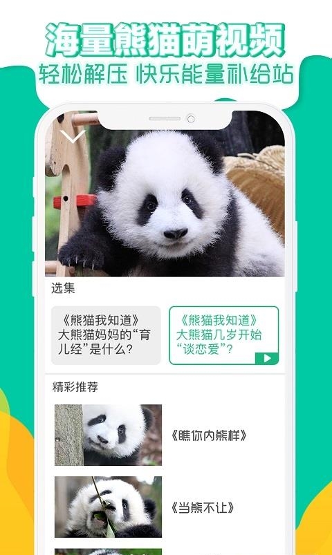熊猫频道手机版  v2.1.9图4