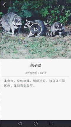 动蛙Live直播  v1.1.0图2