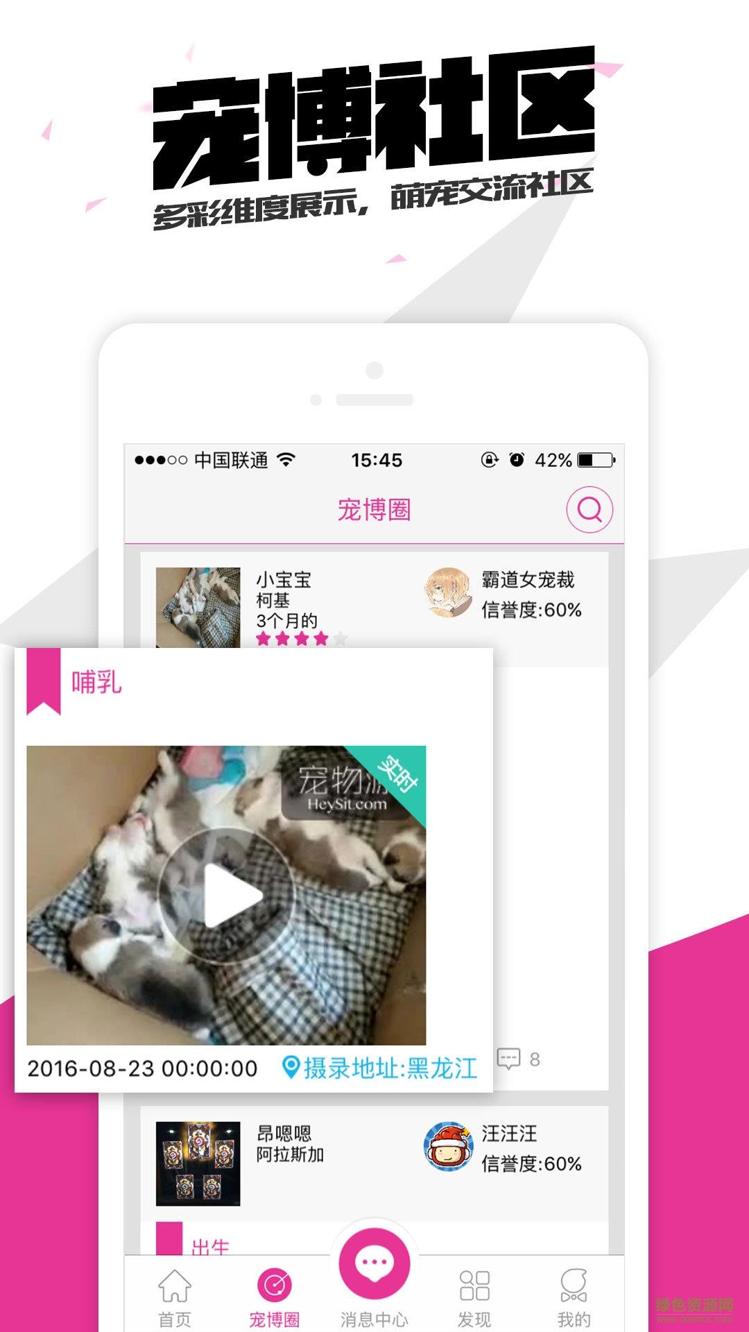 宠物源  v1.0图2