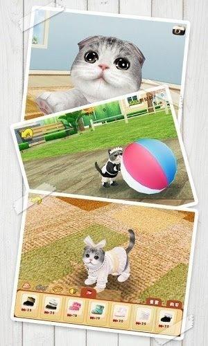 心动小猫  v1.36.2图5