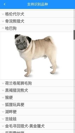 哈狗识别  v1.0图1