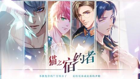 猫之宿约者  v1.0.0图1