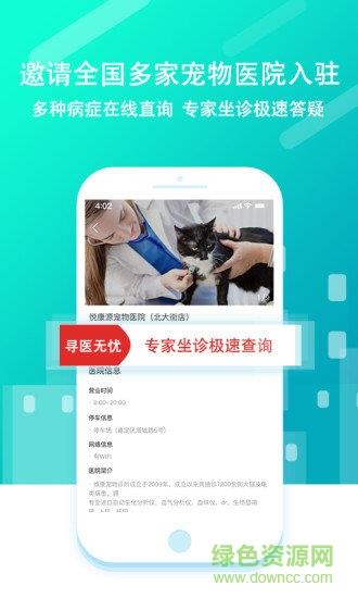 大派宠物  v0.9.1图4