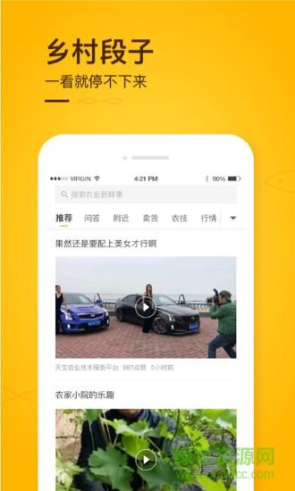 抓鱼