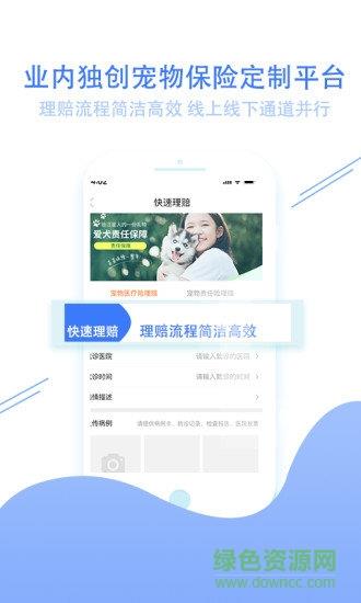大派宠物  v0.9.1图3