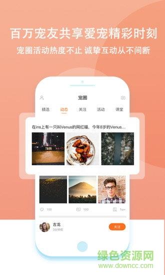 大派宠物  v0.9.1图2