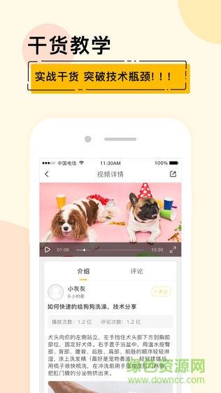 宠才大学  v1.6.6图3