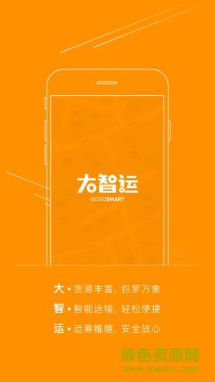 大智运手机版