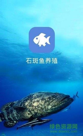 石斑鱼养殖  v1.0.0图1