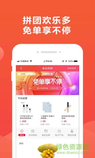锦鲤团