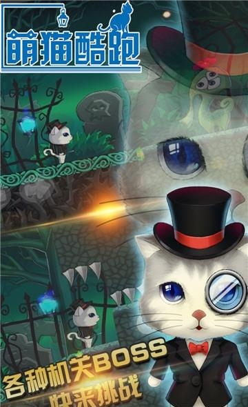 萌猫酷跑