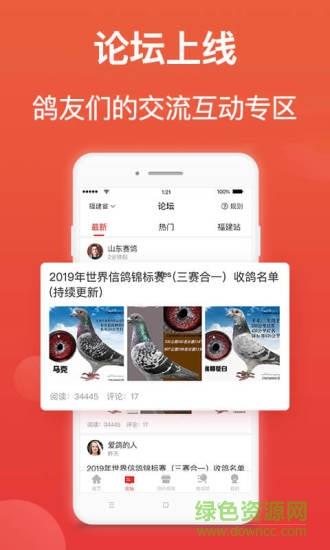 赛鸽头条  v2.1.18.8图2