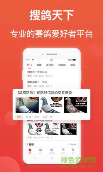 赛鸽头条  v2.1.18.8图1