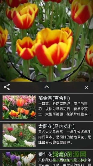 咔嚓识花  v2.0.13图2