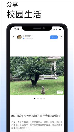 小圆贴校园社交平台  v1.37图4