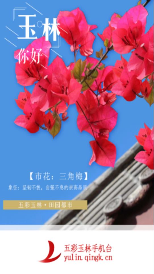 五彩玉林手机台  v6.1.0.0图1