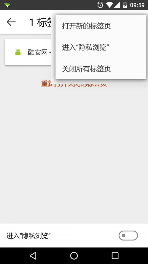 Silk浏览器  v48.1.51.2564.95.10图3