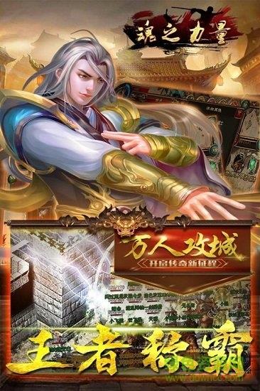 魂之力量九游版  v1.20190116图3