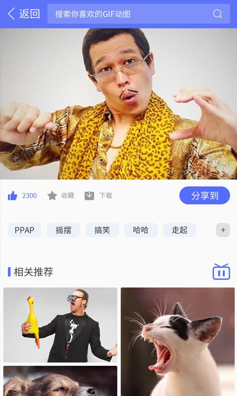 51Gif  v2.3.1图4