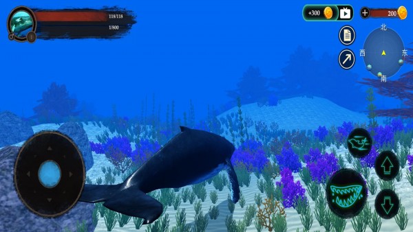 海洋动物世界  v1.0.1图3