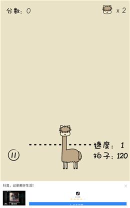 像只羊驼