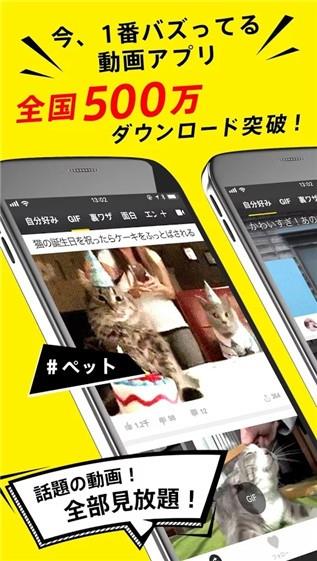 TopBuzz  v4.5.8图4