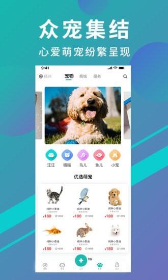 宠都  v3.1.11图2