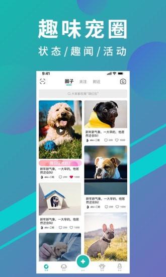 宠都  v3.1.11图1