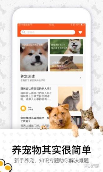 四只猫  v2.0图4