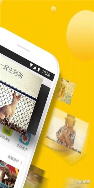 宠狐  v4.5.4图4