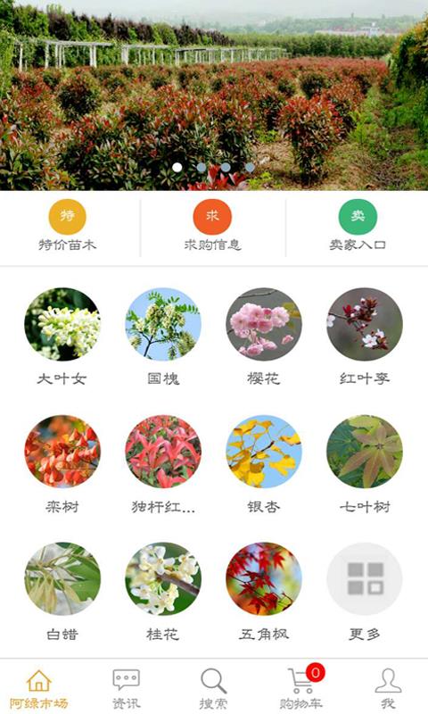 阿绿汇  v1.3图2