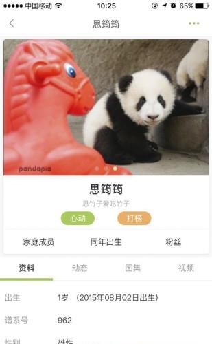 pandapia  v1.03图4