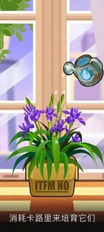 阳光花店红包版  v1.0.1图4