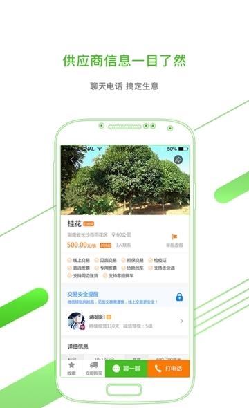 苗木通