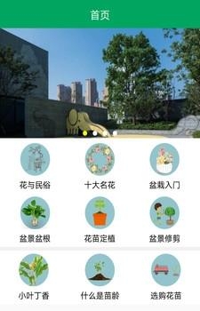 扬州花木