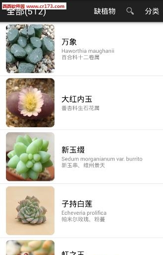 爱花草