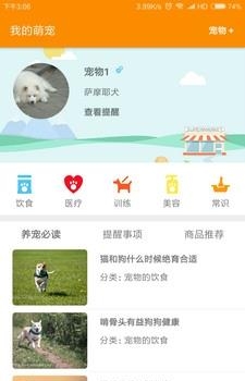 捏捏宠  v1.0图2