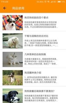 捏捏宠