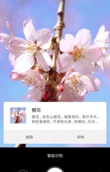 小米智能识物  v0.1.2图3