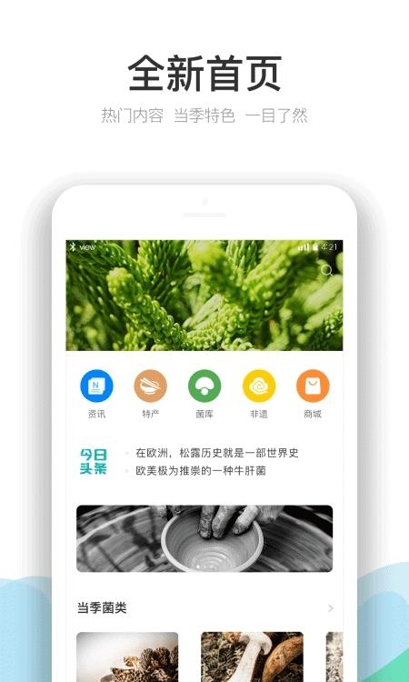 云南季