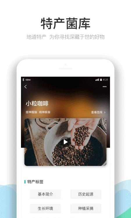 云南季  v3.4.6图3