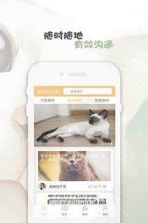 猫咪的后院  v1.0图2