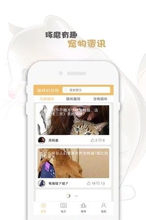 猫咪的后院  v1.0图1