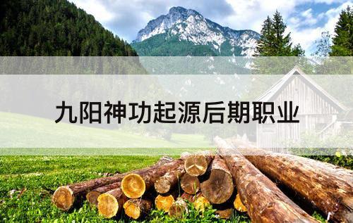 九阳神功起源后期职业