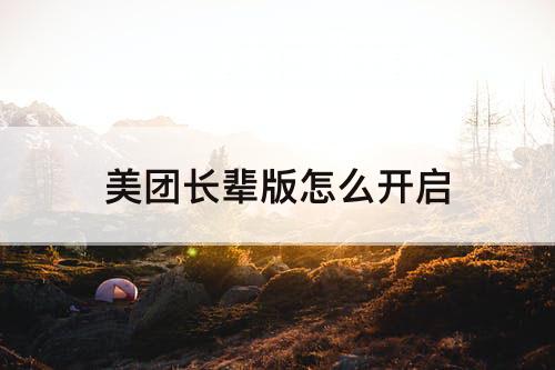 美团长辈版怎么开启
