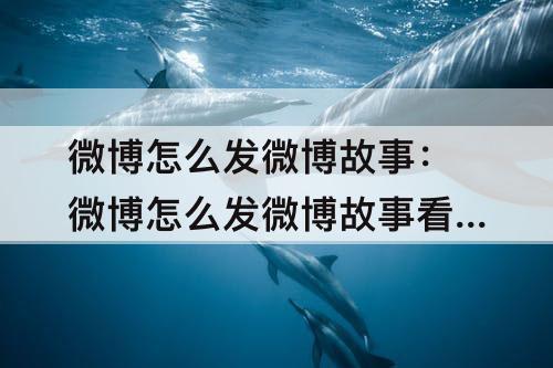 微博怎么发微博故事：微博怎么发微博故事看访客