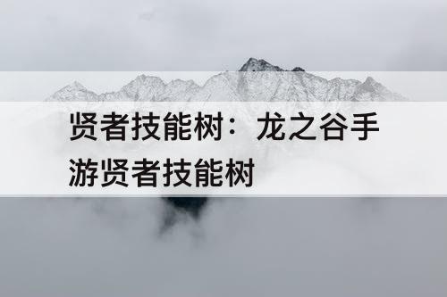 贤者技能树：龙之谷手游贤者技能树
