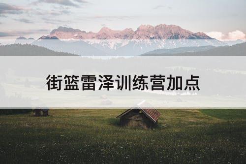 街篮雷泽训练营加点