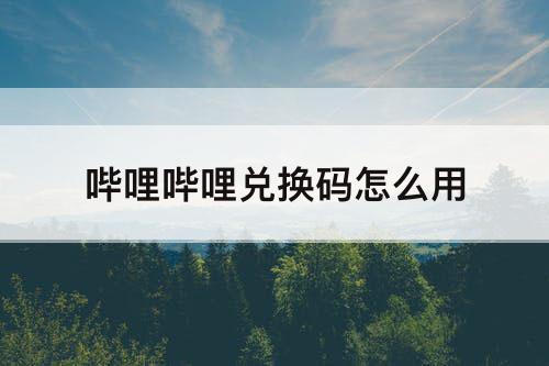 哔哩哔哩兑换码怎么用