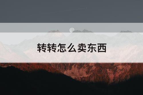 转转怎么卖东西